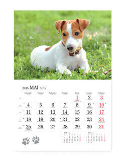 Koerakalender 3. pilt
