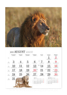 Animal calendar 3. picture